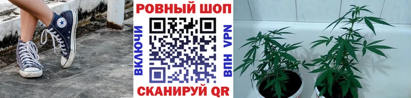 Что такое Лосино-Петровский МЕТАДОН  Бошки Шишки  КОКАИН  СК  Меф  ГАШИШ 