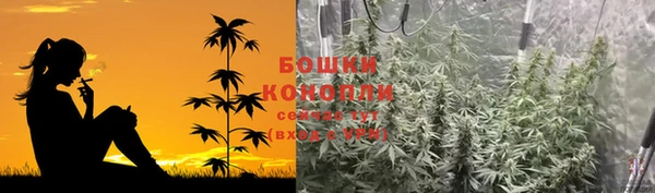 молекула духа Кодинск