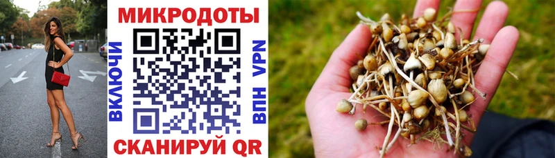 дарк нет какой сайт  цена   Лосино-Петровский  Галлюциногенные грибы прущие грибы 